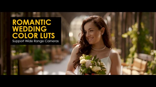 Romantic Wedding LUTS