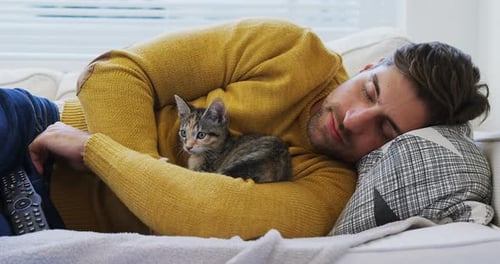 Man Sleeping with Kitten on Couch