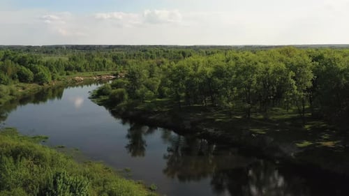 Flight Over the River and Forest on a Summer Day