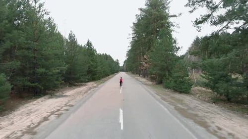 Radfahrer dreht auf einem Rennrad im Wald die Pedale. Radsport. Triathlon. Intensives Trainingstraining