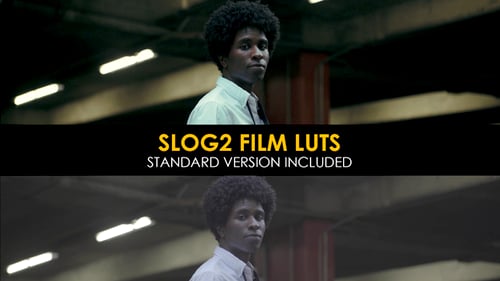 Film Slog2 and Standard Luts