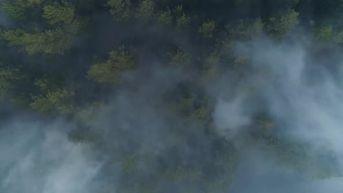 Aerial view of Forest fire 04