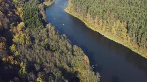 Outono, outono, sol dourado e margens do rio com floresta colorida