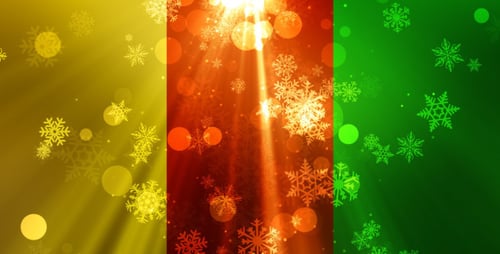 Luz de Natal - pacote de 3 cores