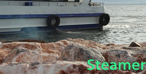 Steamer