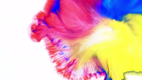 Azuis, amarelos e vermelhos, colorindo um fundo branco leitoso, colorido, abstrato