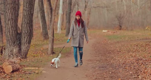 Nice Girl Walking a Dog on a Leash. Walk in the Woods with a Puppy.