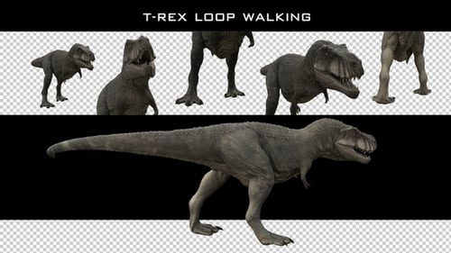 T-Rex Loop Walking Pack