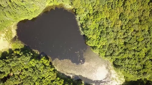 Aerial view of a small forest lake in the middle of green dense woods in summer.
