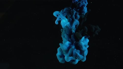 Blue and Black Ink Plumes Dissolving in Water