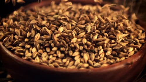 The Super Slow Motion of Barley Grains Fall Into the Plate Against a Black Background