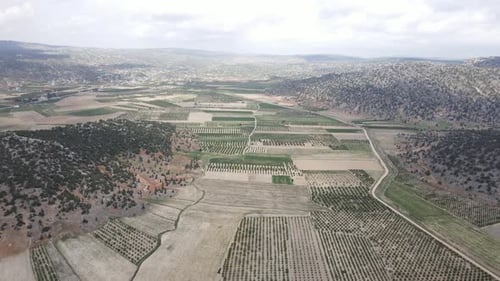 Aerial Row Farmland