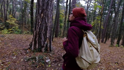 Der Mensch genießt die Natur, wenn er am Herbsttag alleine im Wald spaziert