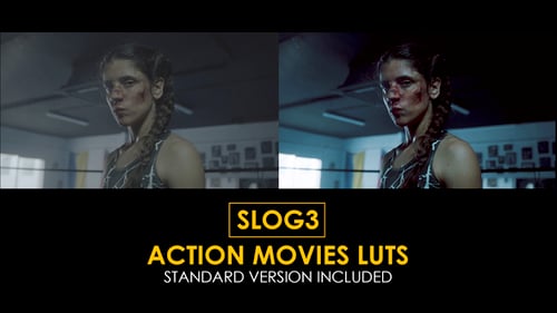 Slog3 Action Movies and Standard LUTs