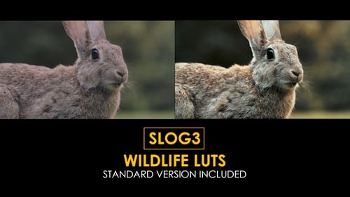 Slog3 Wildlife and Standard LUTs