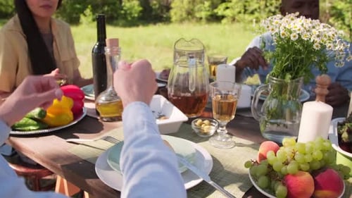 Friends Gathering for Outdoor Meal in Sunny Field