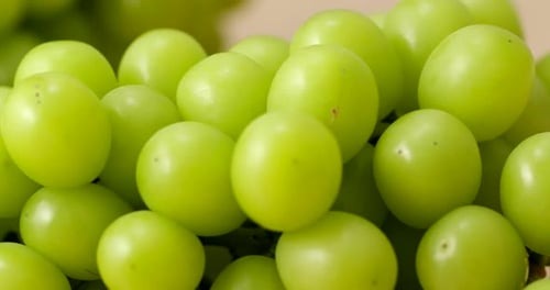 Frische grüne reife Trauben