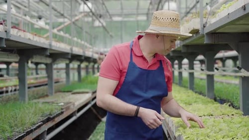 Positive Mid-adult Caucasian Man Looking at Green Plants at Front As Blurred Young Woman Checking