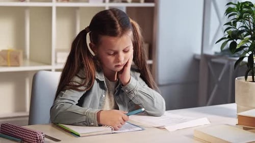 Studying Kid Children Education Smart Little Girl
