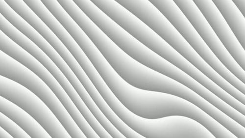 Abstract Fluid White Wavy Lines Animated Background Loop