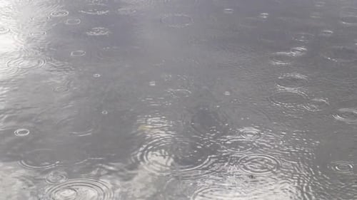 Rain falling on the fjord's water