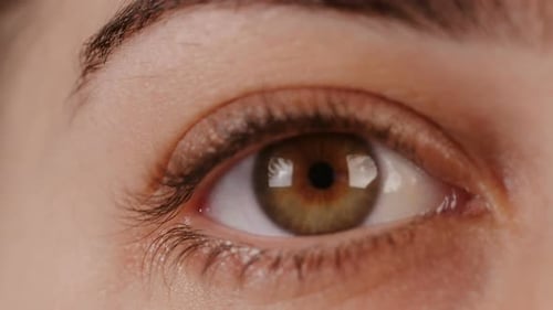 Macro shot of a woman's brown eye opening
