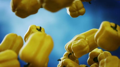 Falling Yellow Bell Peppers in Slow Motion Loop