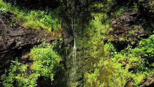 Clean Small Waterfall in the Forest