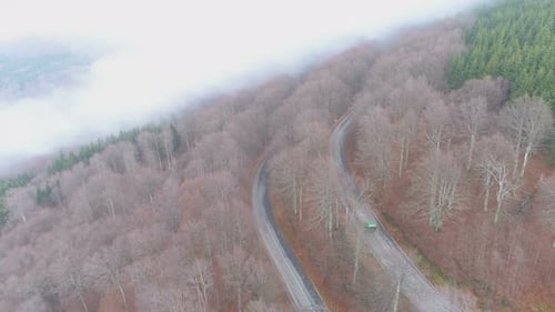 Green Semi-truck Driving on Winding Misty Forest Road in Bulgaria