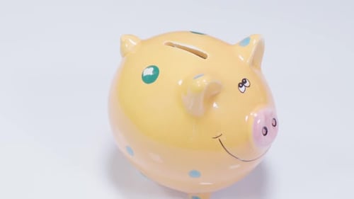 Piggy Bank Money