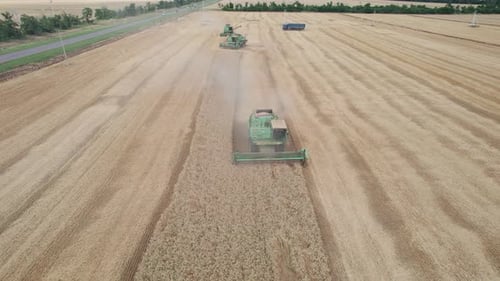 Aerial View of Harvester Machines Working in Wheat Field
