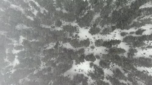 Tempête de neige dans un vent fort