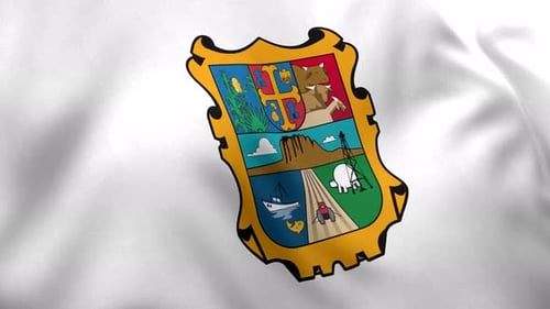 Bandera de Tamaulipas (México) - 4K