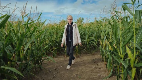 Woman Walking Through Vibrant Green Cornfield