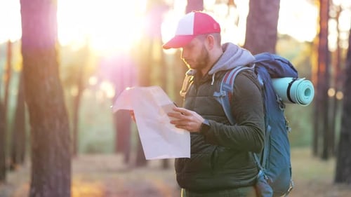 Bearded Man Reading Map in a Forest at Sunset