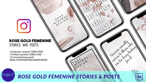 Rose Gold Feminine Stories and Posts