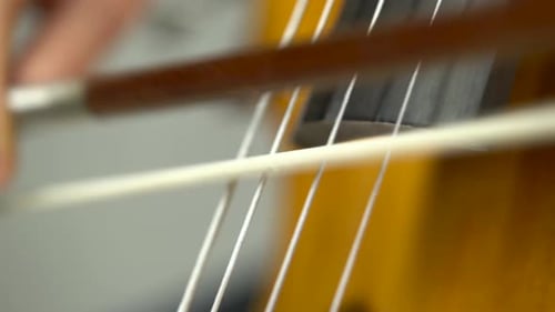 Cello Playing Close Up