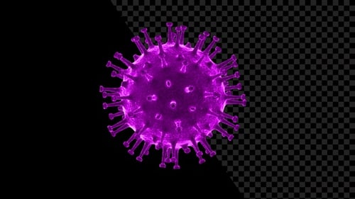 Rotating Purple Virus Cell 3D Medical Animation Loop