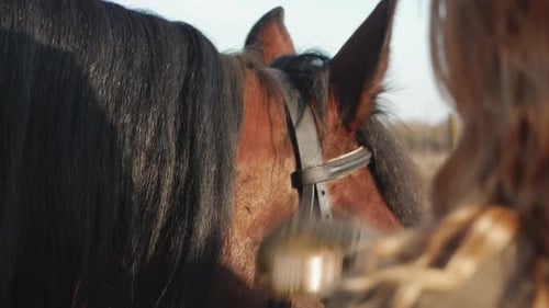 Mujer rubia peina melena de caballo