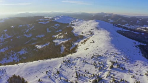 High Snowy Mountain Covered with Evergreen Fir Trees on a Sunny Cold Day
