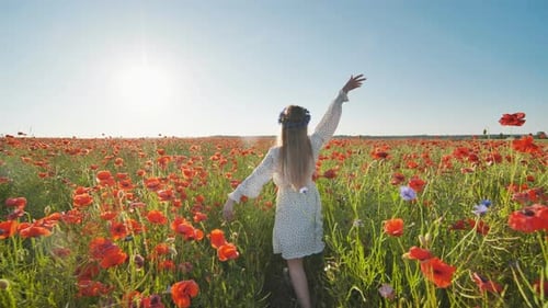 Ukrainian Girl Walking Through a Red Poppy Field