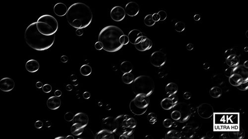 Realistic Rising Bubbles with Alpha Channel Overlay