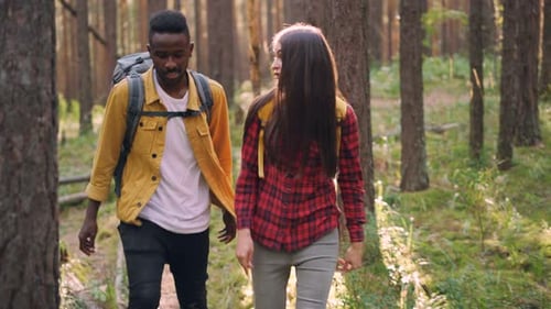 Beautiful Multiracial Couple African American Guy and Caucasian Girl Are Walking Together in Forest
