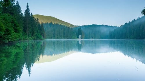 Beautiful Nature and a Wonderful Landscape with Lush Green Forests and Vegetation Around the Pearl