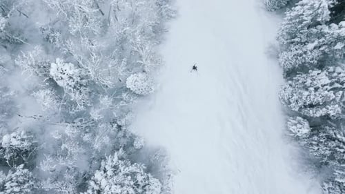 Zeitlupen-Luftaufnahmen von Skifahrern auf einer idealen Skipiste in großen Bergen