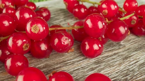 Fresh Red Currants on Rustic Wooden Board