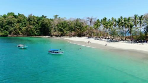 Virgin Unspoiled Caribbean Tropical White Sandy Beach