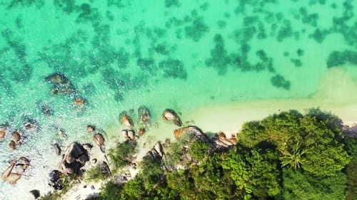 Aerial tourism of tropical sea view beach wildlife by blue lagoon with clean sand background of a da