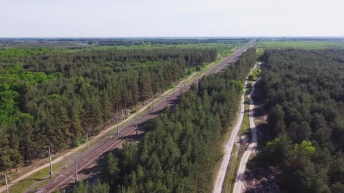 Luftaufnahme der Eisenbahn mit Zug am sonnigen Sommertag im Wald