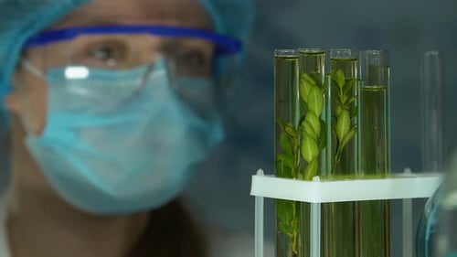 Biochemist Checking Plant Sample in Test Tube, Pesticides Influence, Agriculture